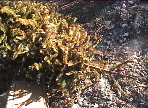 untitled(study of threefourone) 2004 untitled(study of threefourone) video still, 2004.