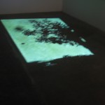 img_0237 img_0237