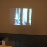 img_0248 img_0248