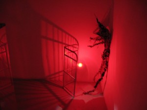 img_0336