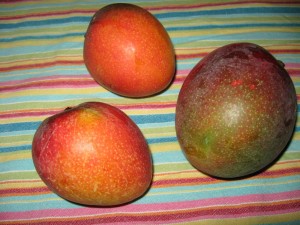 Haden variety