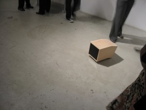 IMG_2195 IMG_2195