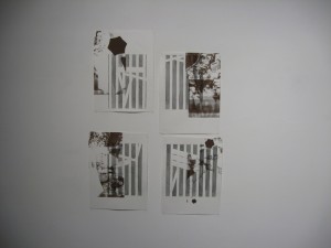 IMG_2221 IMG_2221