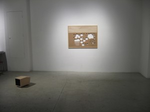 IMG_2223 IMG_2223