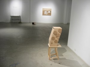 IMG_2232 IMG_2232